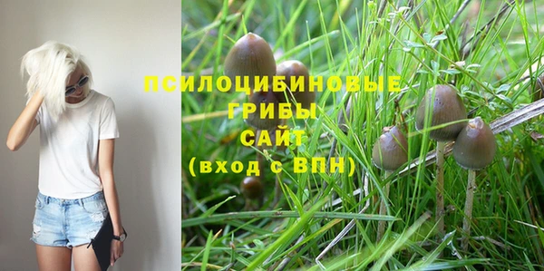 крисы Алексеевка