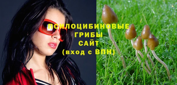 ALPHA PVP Новозыбков