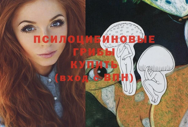 крисы Алексеевка