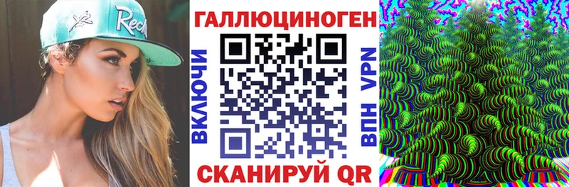 Псилоцибиновые грибы MAGIC MUSHROOMS Чебаркуль